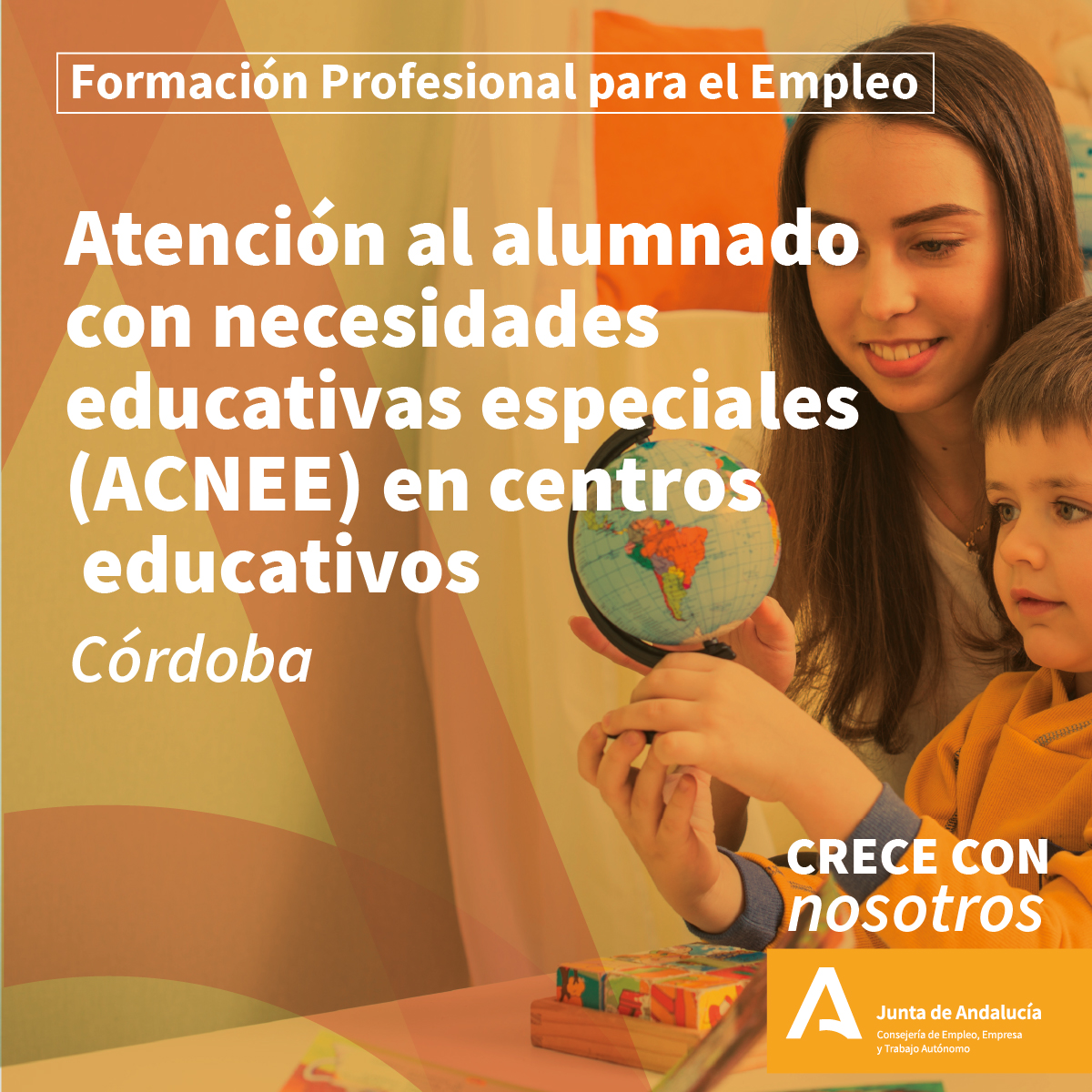 curso de atención al alumnado con necesidades educativas especiales (ACNEE) en centros educativos