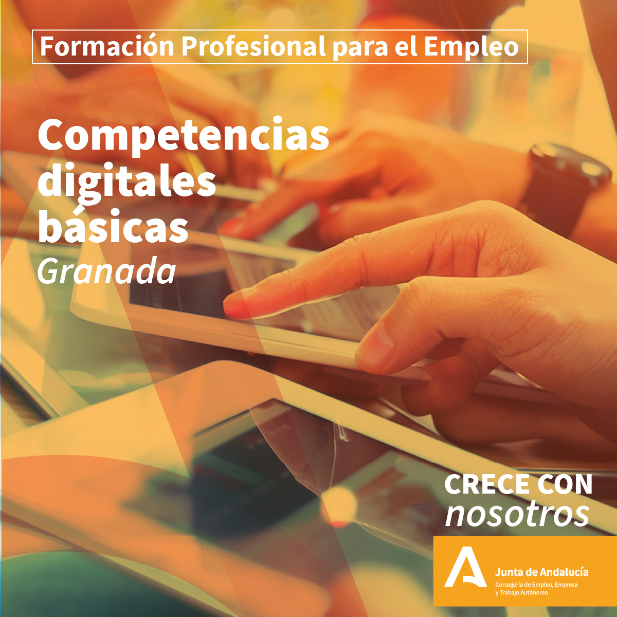 Curso de Competencias Digitales Básicas