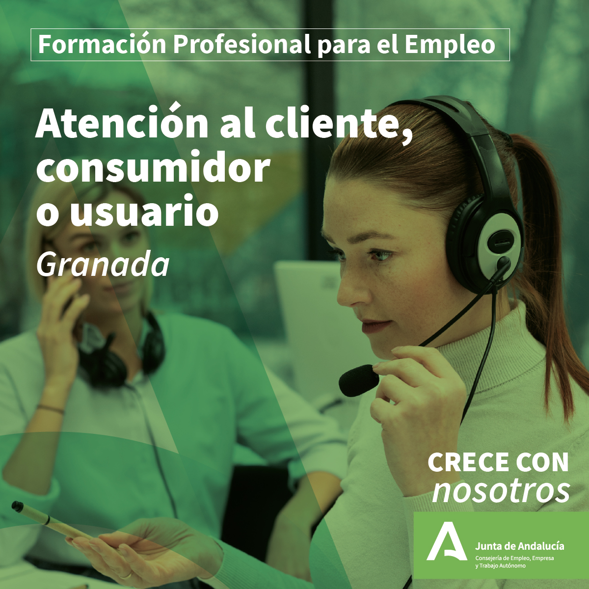 Curso de Atención al Cliente, Consumidor o Usuario