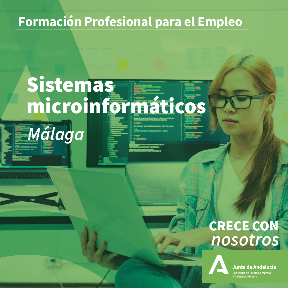 curso de Sistemas Microinformáticos