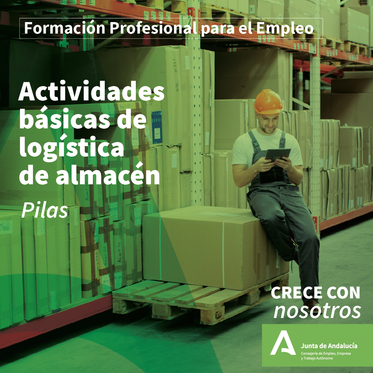 Curso de Actividades Básicas de Logística de Almacén